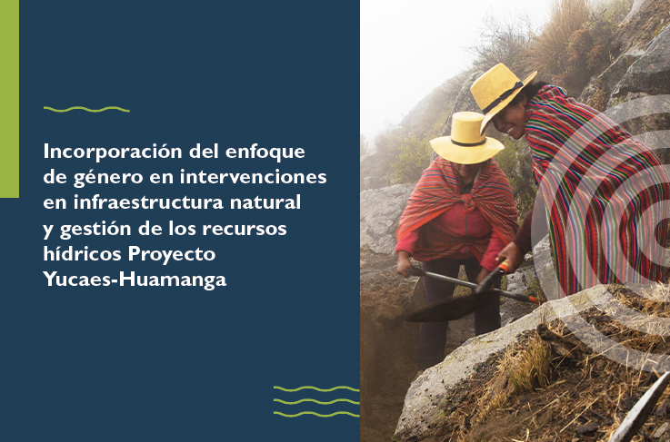 Course Image 2024 Taller Incorporación del enfoque de género en intervenciones en infraestructura natural y gestión de los recursos hídricos Proyecto Yucaes-Huamanga