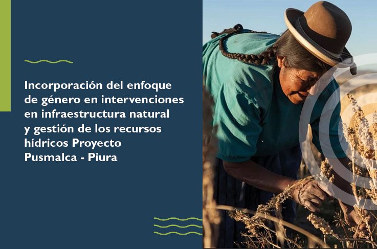 Course Image 2024 Taller Incorporación del enfoque de género en intervenciones en infraestructura natural y gestión de los recursos hídricos Proyecto Pusmalca - Piura