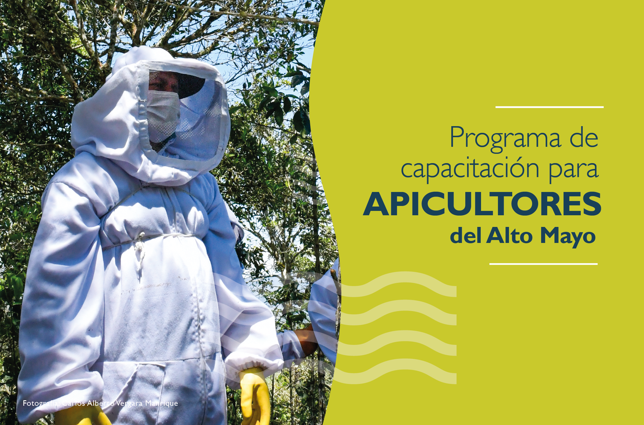 Course Image 2021 Programa de capacitación para apicultores del Alto Mayo